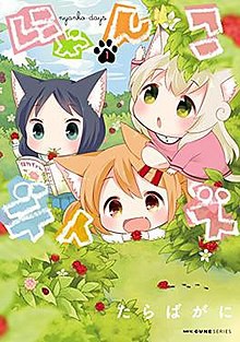 Nyanko Days เนียนโกะเดย์ ตอนที่ 1-12 ซับไทย
